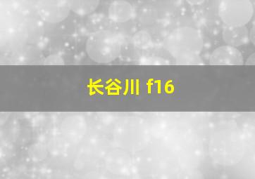 长谷川 f16